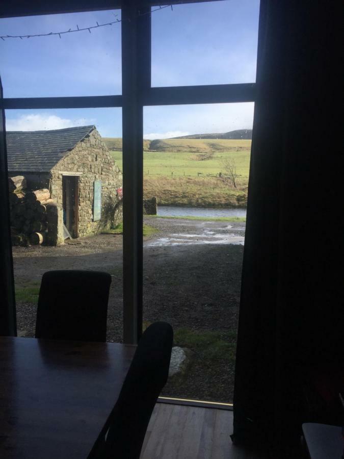 مبيت وإفطار هالتويسل Saughy Rigg Farm المظهر الخارجي الصورة